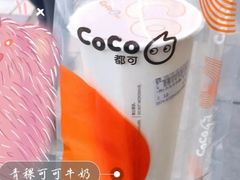 青稞可可牛奶-CoCo都可(合生汇店)
