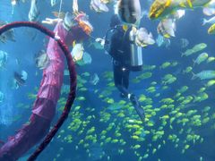 -太平洋海底世界