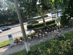 -苔圣园酒家(尊木汇国际艺术广场店)