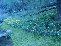 -重庆彩云湖湿地公园