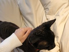 -HALO SOUL COFFEE·咖啡·甜品·简餐(嘉年华海信广场店)