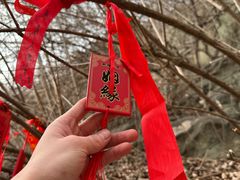 -泰山风景名胜区