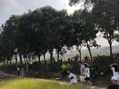 -光明小镇欢乐田园