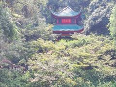 -岳麓山风景名胜区