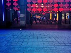 -南宫五洲植物乐园