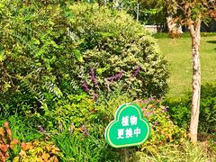 -西北湖绿化广场