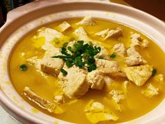 老豆腐煲-海江5号