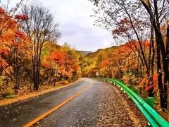 -玉渡山自然风景区