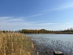-野鸭湖国家湿地公园
