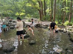 -共青国家森林公园-售票处