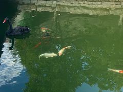 -春风习习