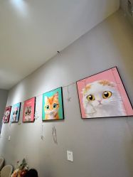 -洗脸猫·洗脸吧