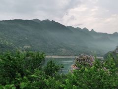 -广州市流溪河国家森林公园