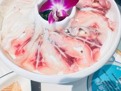 -脆鱼家·中山脆肉鲩鱼火锅(石龙仔店)