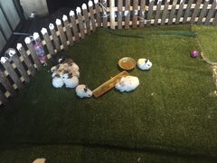 -唐拉雅秀酒店-西锦汇空中BBQ·思创餐厅