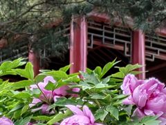 -国家植物园南园