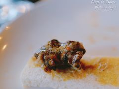 松露蜗牛-金蜗牛