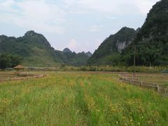 -靖西鹅泉风景区