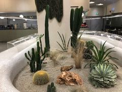 -OUR Bakery(SKP-S店)