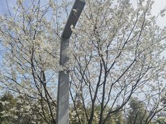 -重庆中央公园(渝北区)