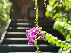 -广东紫坭糖厂(桥头路)