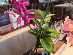 -狮王府淮扬菜(老门东店)