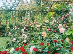 -人民公园(罗湖区)