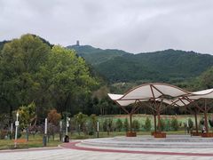 -翠矶山公园