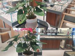 -宝岛眼镜(南京金鹰世界店)