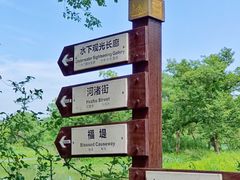 -西溪国家湿地公园