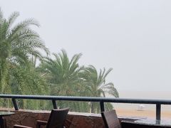 -太平洋咖啡(海滨泳场店)