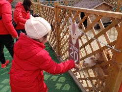 -萌宠亲子动物乐园(槐房万达店)