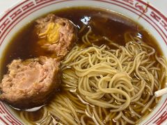 -上海中医药大学附属曙光医院(东部)