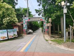 -上海长兴岛郊野公园