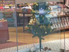 -The Green Party(碧湖万达广场店)