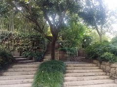 -法云古村