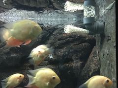 -苏州海洋馆