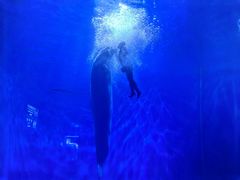 -多彩贵州城极地海洋世界