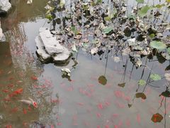 景点-西海子公园