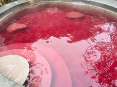-扬州瘦西湖温泉