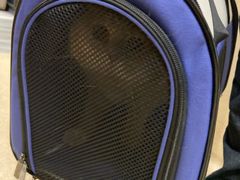 -爱侣宠医·鹦鹉专科·小型哺乳类·异宠专科(灵石路店)