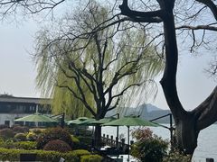 -杭州西湖柳莺里酒店·闻莺厅