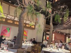 -桂满陇·海市蜃楼·黑金(国金店)