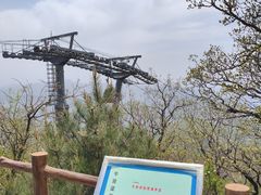 -牛背梁国家森林公园