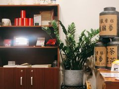 -一杯潮茶·专注潮汕茶饮(朝阳庄店)