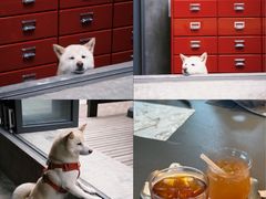 -微焙咖啡工厂(海峡创意产业园·红坊店)