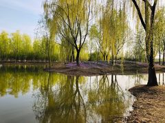 -东郊湿地公园