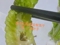 -蚝大仙横琴生蚝火锅(日月贝店)