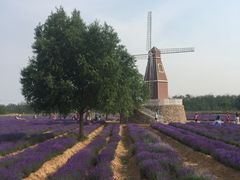 -渔岛海洋度假区