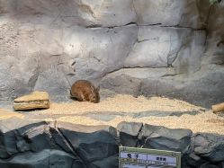 -Zoolung Zoolung动物主题公园(海信广场店)